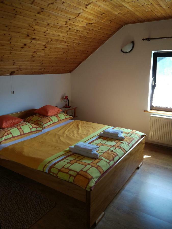 Apartment Jelena سيليست دريزنيكو المظهر الخارجي الصورة