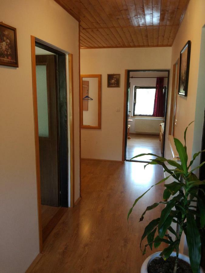 Apartment Jelena سيليست دريزنيكو المظهر الخارجي الصورة