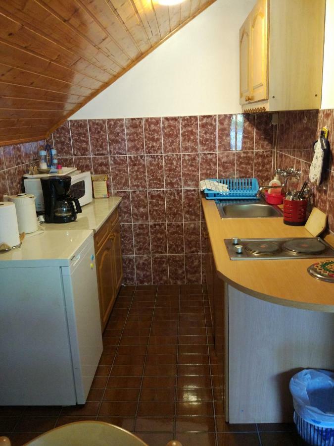Apartment Jelena سيليست دريزنيكو المظهر الخارجي الصورة