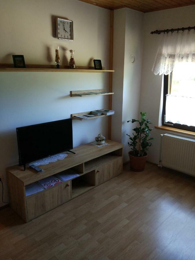 Apartment Jelena سيليست دريزنيكو المظهر الخارجي الصورة